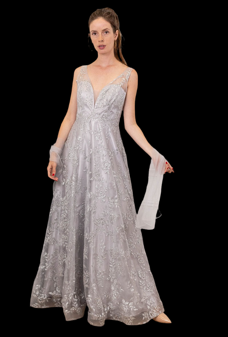 Silver Princess style dress