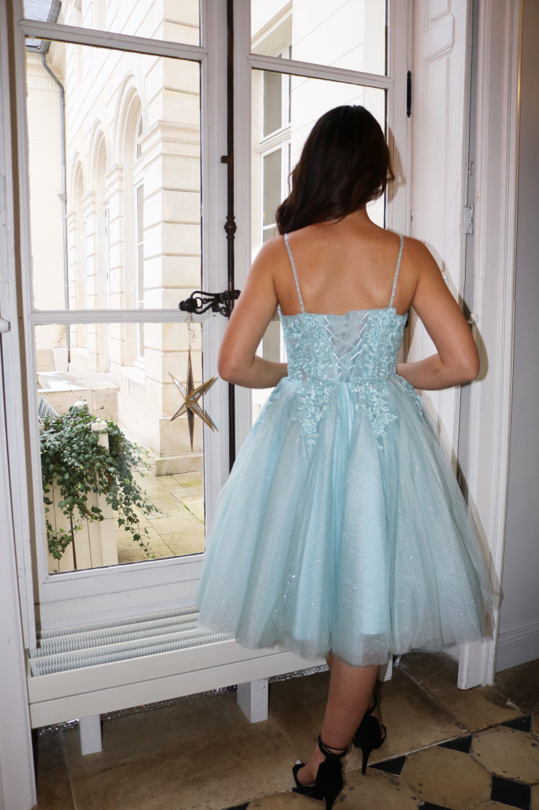 Lace and Tulle short Dress