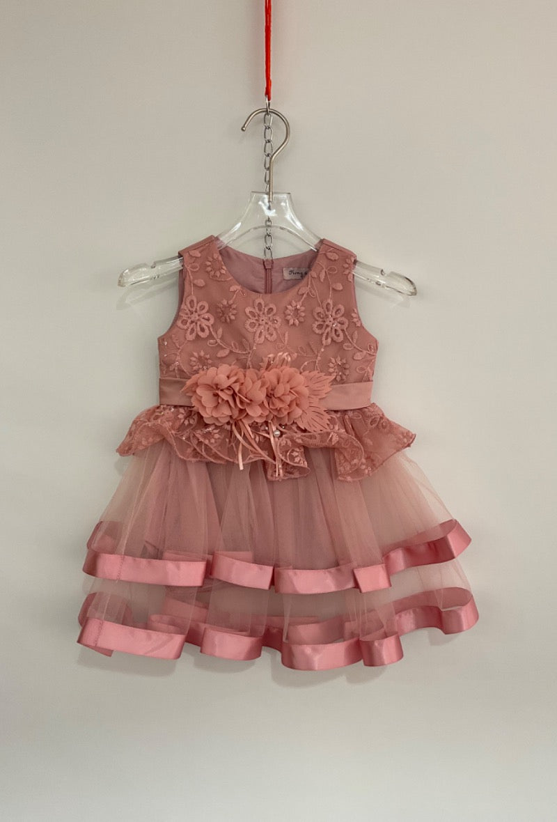 Baby Girl  Old Rose Party Dress